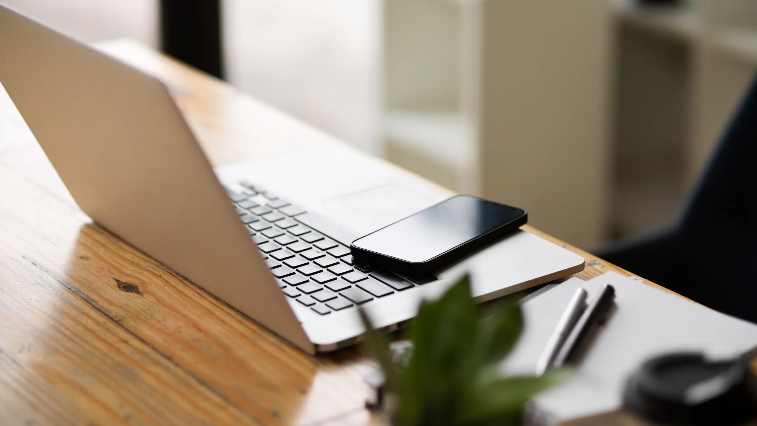 Laptop viewed from behind with phone and plant on a desk