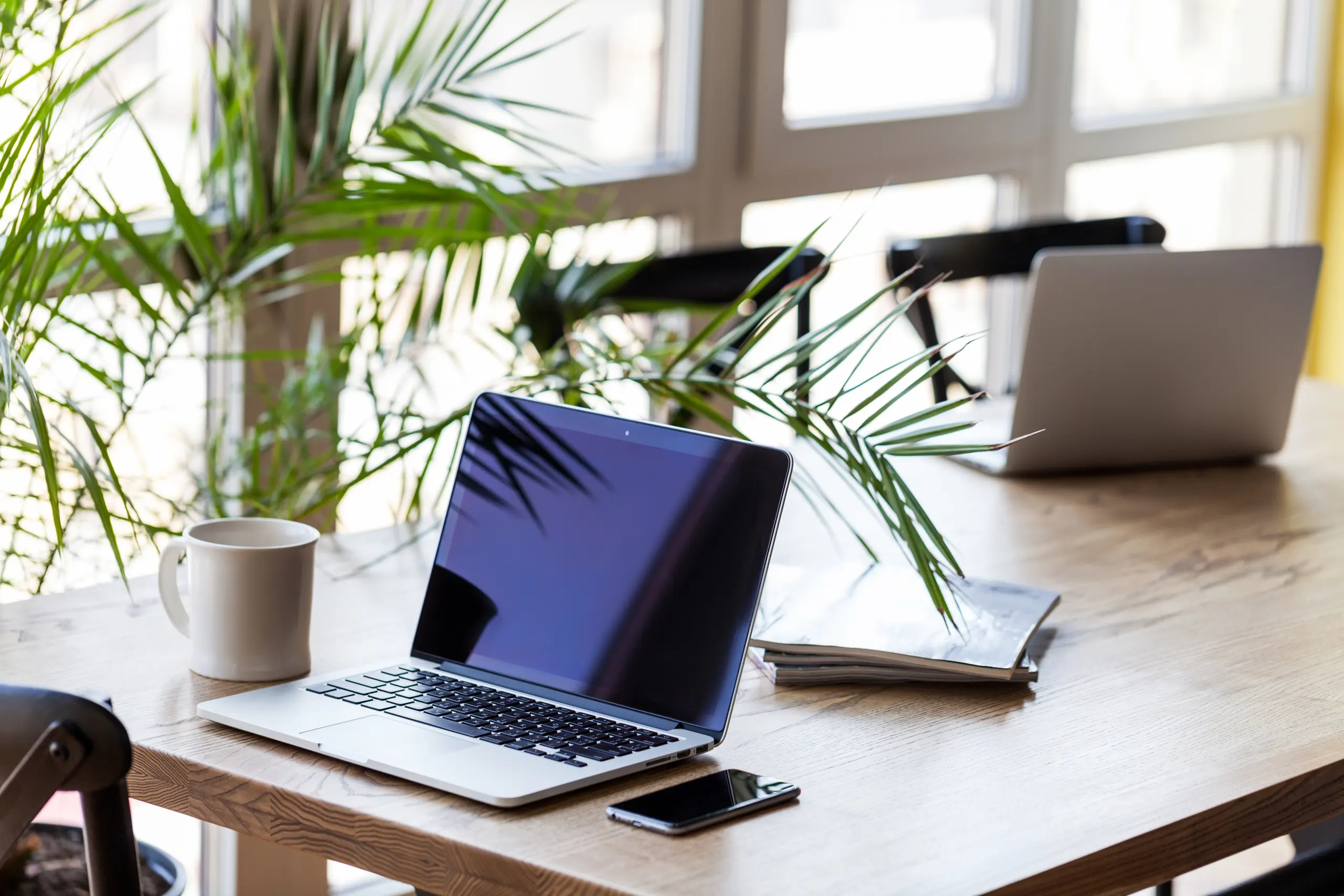 Laptop, coffee, phone and plant on a desk
