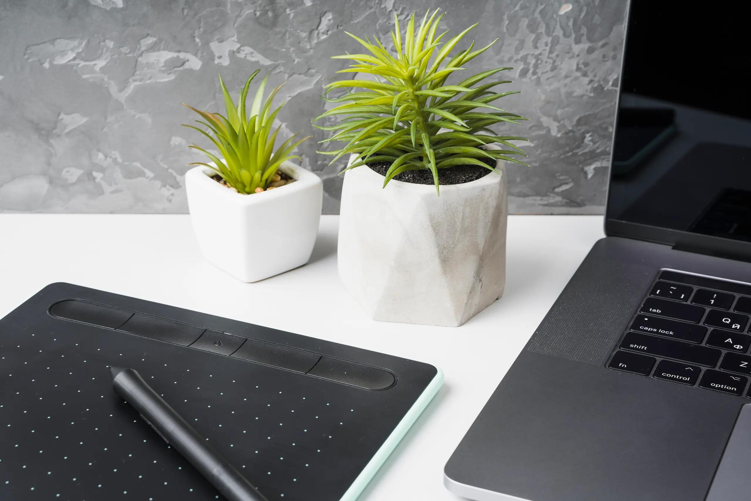 Close-up of a pen tablet and laptop with plants