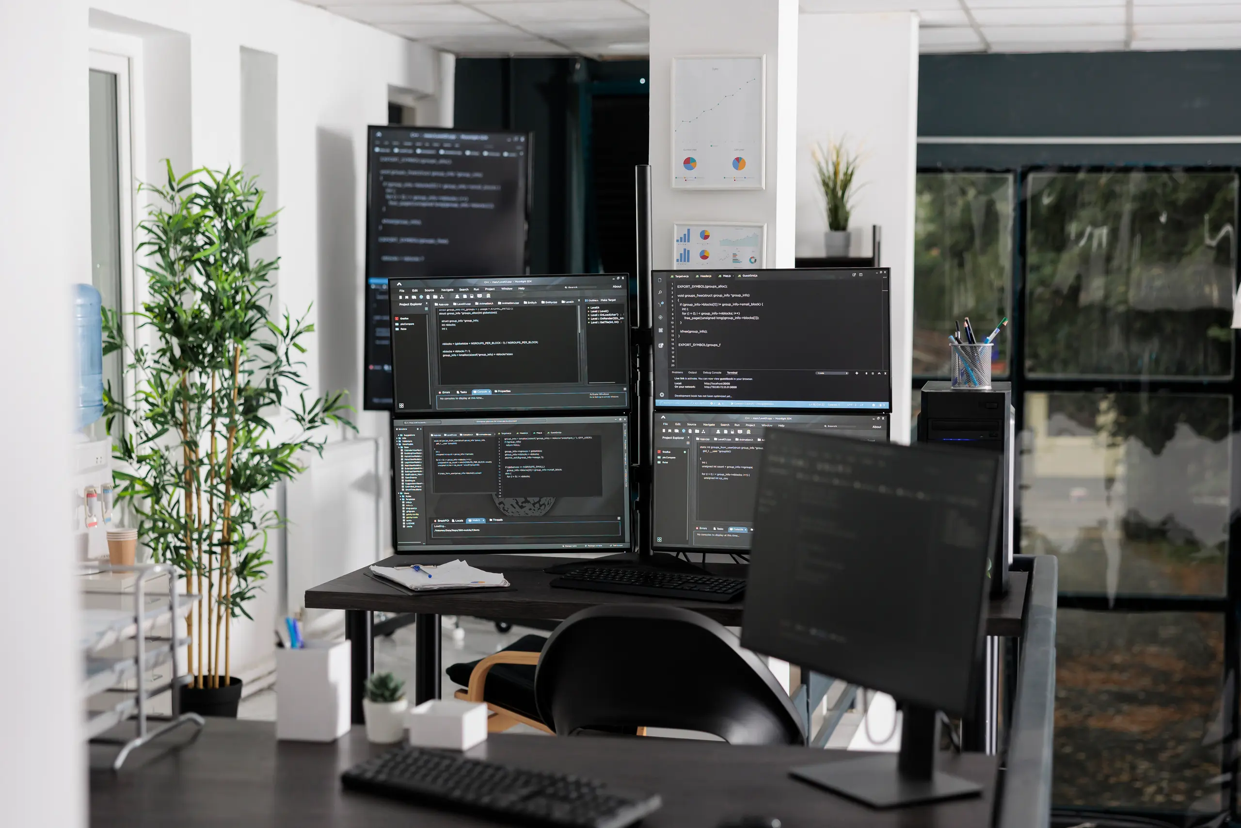 Multiple monitors showing code with a plant in the foreground