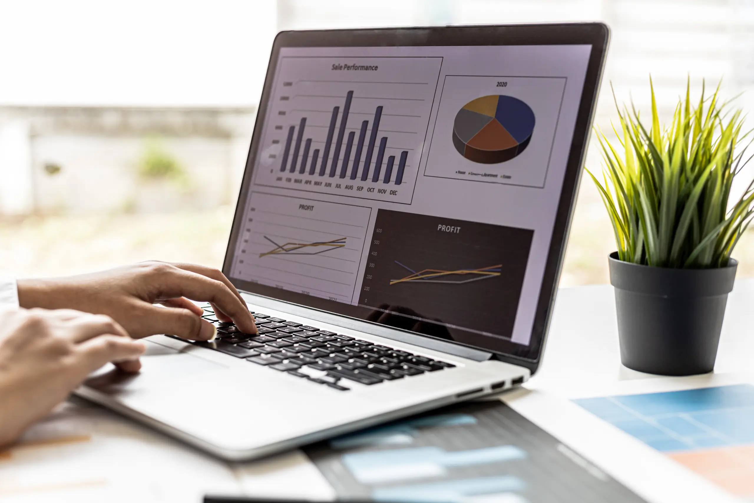 Person viewing a data dashboard with a plant nearby